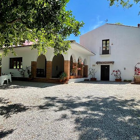 Villa Tana Pacenzia Cefalù Eksteriør billede